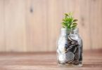 jar full of coins with a plant sprouting wooden paneling background