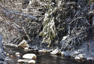 creek in snowy forest
