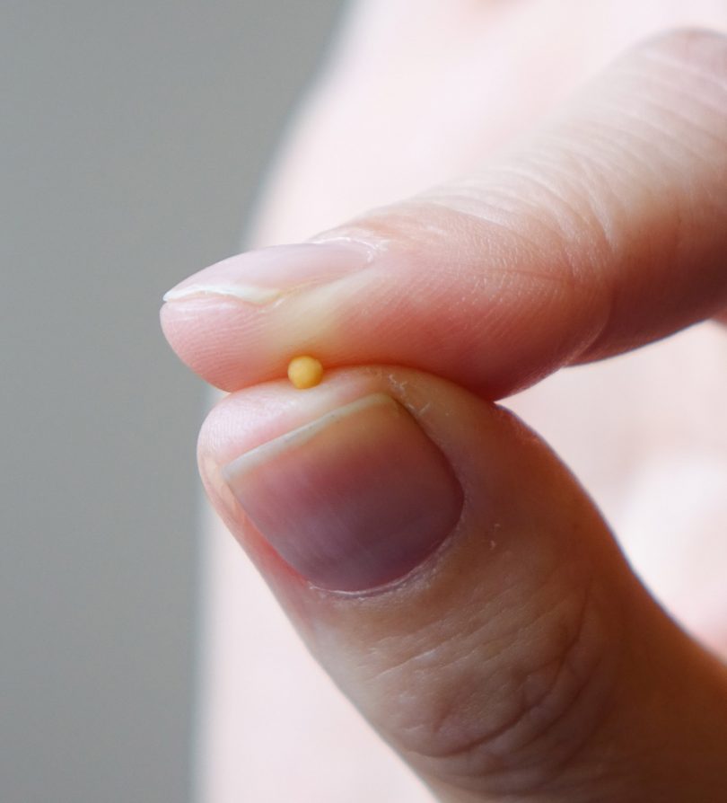 tiny mustard seed