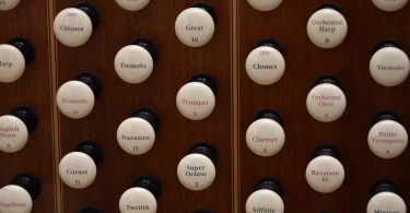 buttons on an organ (organ stops)