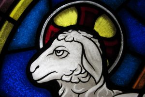 lamb stained glass