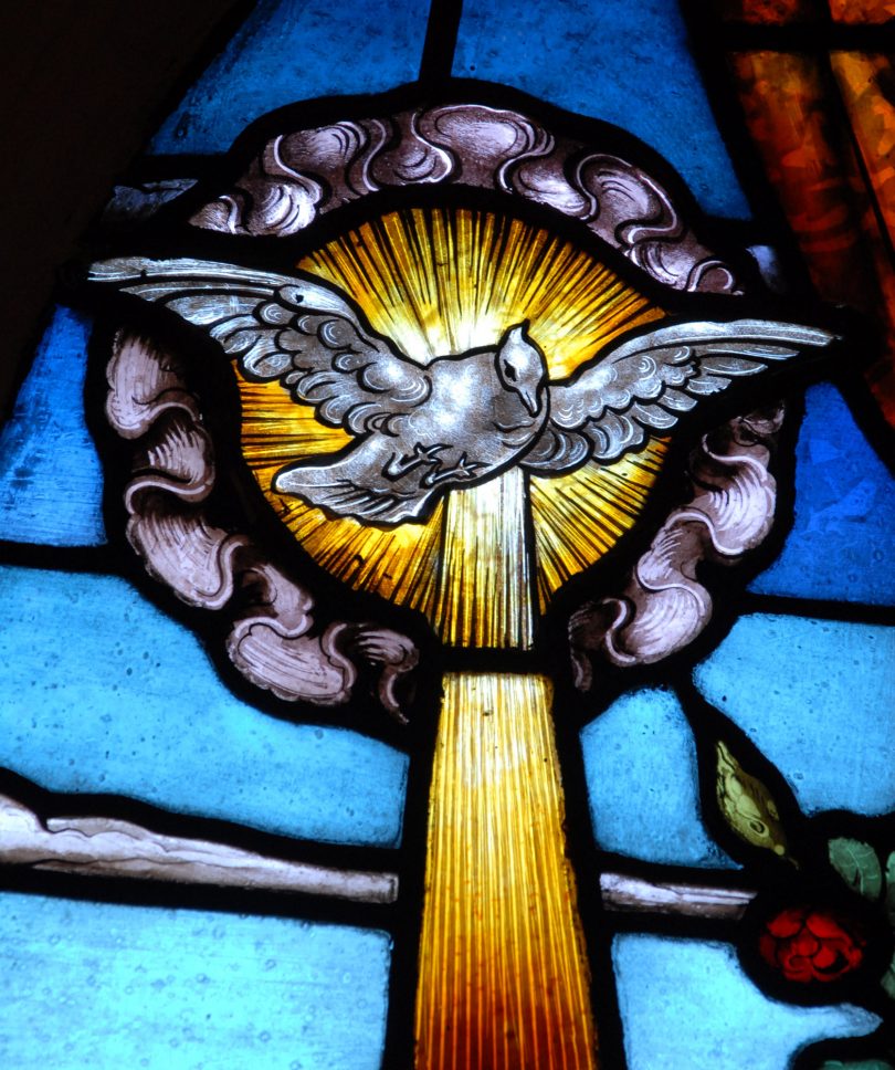 image of dove stained glass
