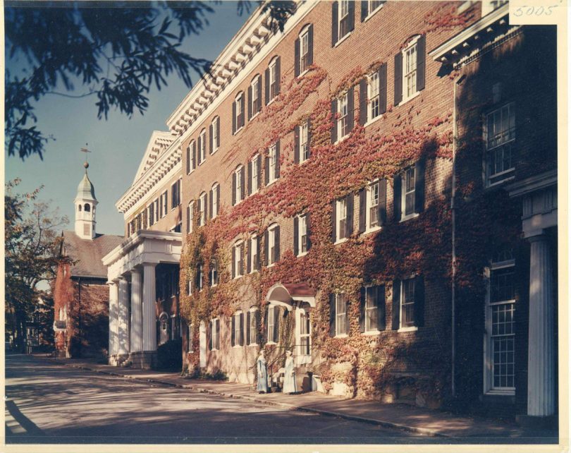 vine covered building