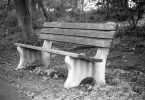 park bench in black and white