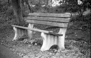 park bench in black and white