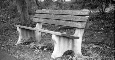 park bench in black and white